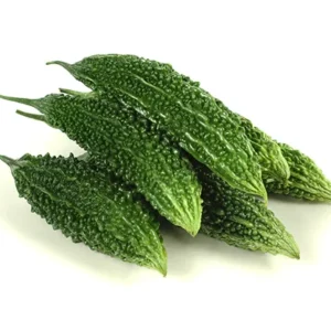 Bitter Gourd or karela