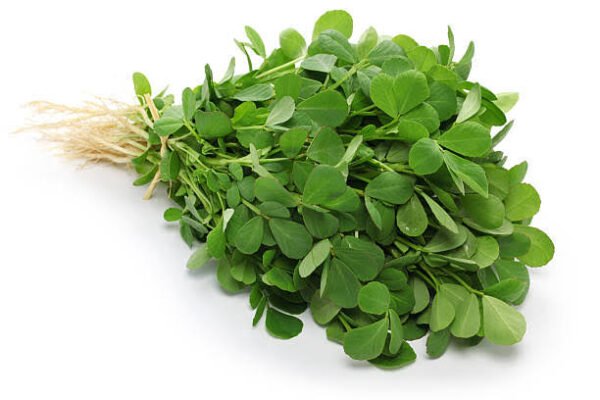 Fresh Methi/ Fenugreek Greens