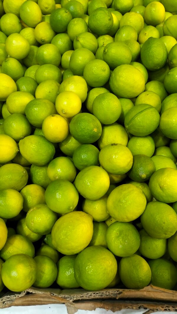 Lemon/Lime Fresh