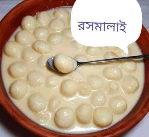 Ras Malai / Roshmalai Bengali Dessert (per kg)