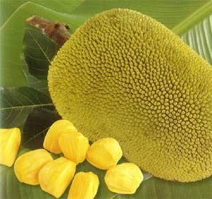 Jack Fruit (whole No Cut)per kg