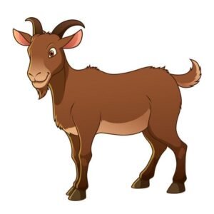 Goats Meat(per kg)