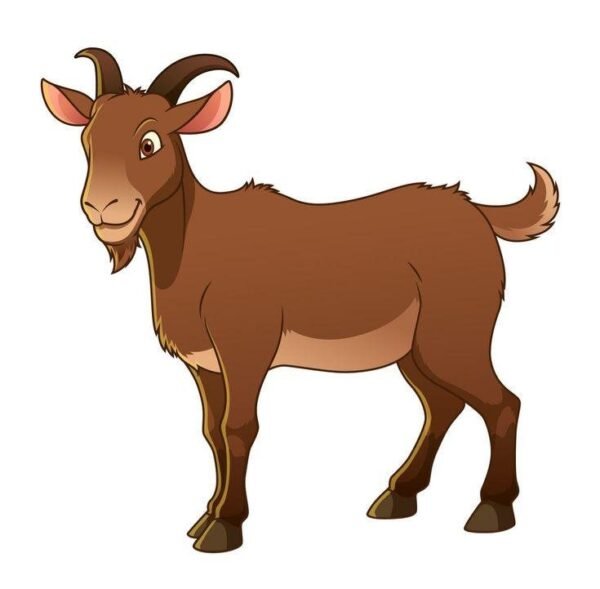 Goats Meat(per kg)