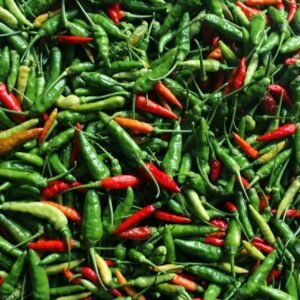 Small Chilli(4xHot Indonesian)