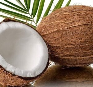 Fresh Coconut (indian)