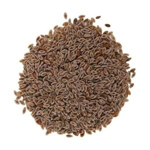 Isabgol Seed(100g Pack)
