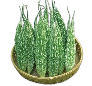 Bitter gourd / Kerala(Per pack Weight 500g)