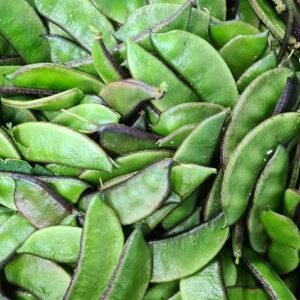 Flat Beans