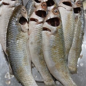 Tatkini Fish (Cleaned)