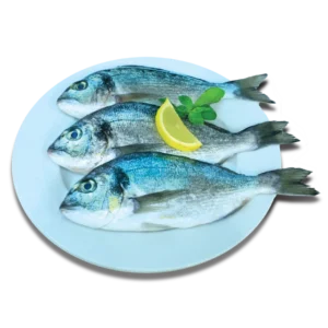 Dennis Fish