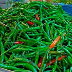 Green Chili (Asian)200g