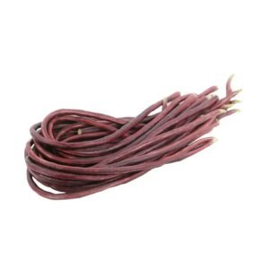Fresh red long beans (lal borboti, lobia phali) on a white background