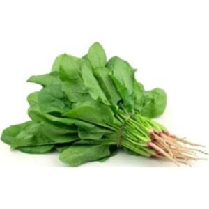Fresh spinach bunch (palong shak, palak saag) with roots on a white background