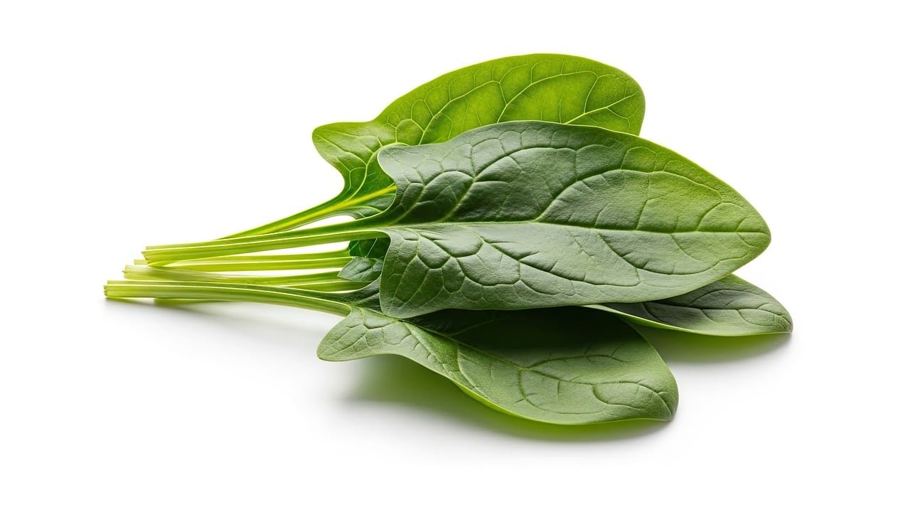 Fresh green spinach (palong shak, palak saag) leaves on a white background